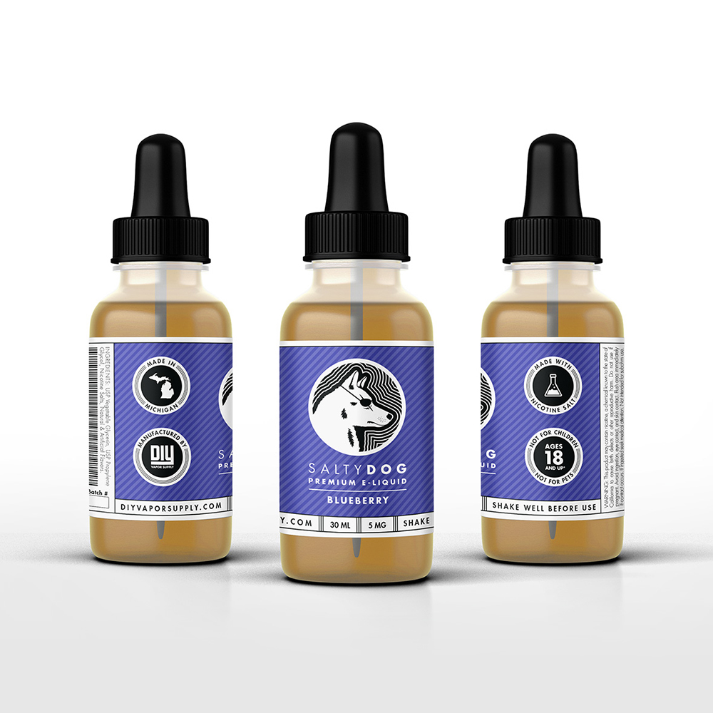 Portfolio — SaltyDog